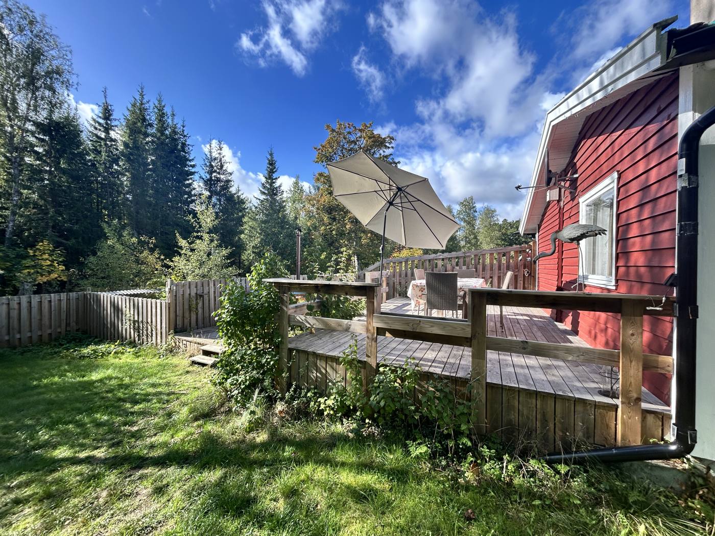 Blick über die Terrasse in den Wald