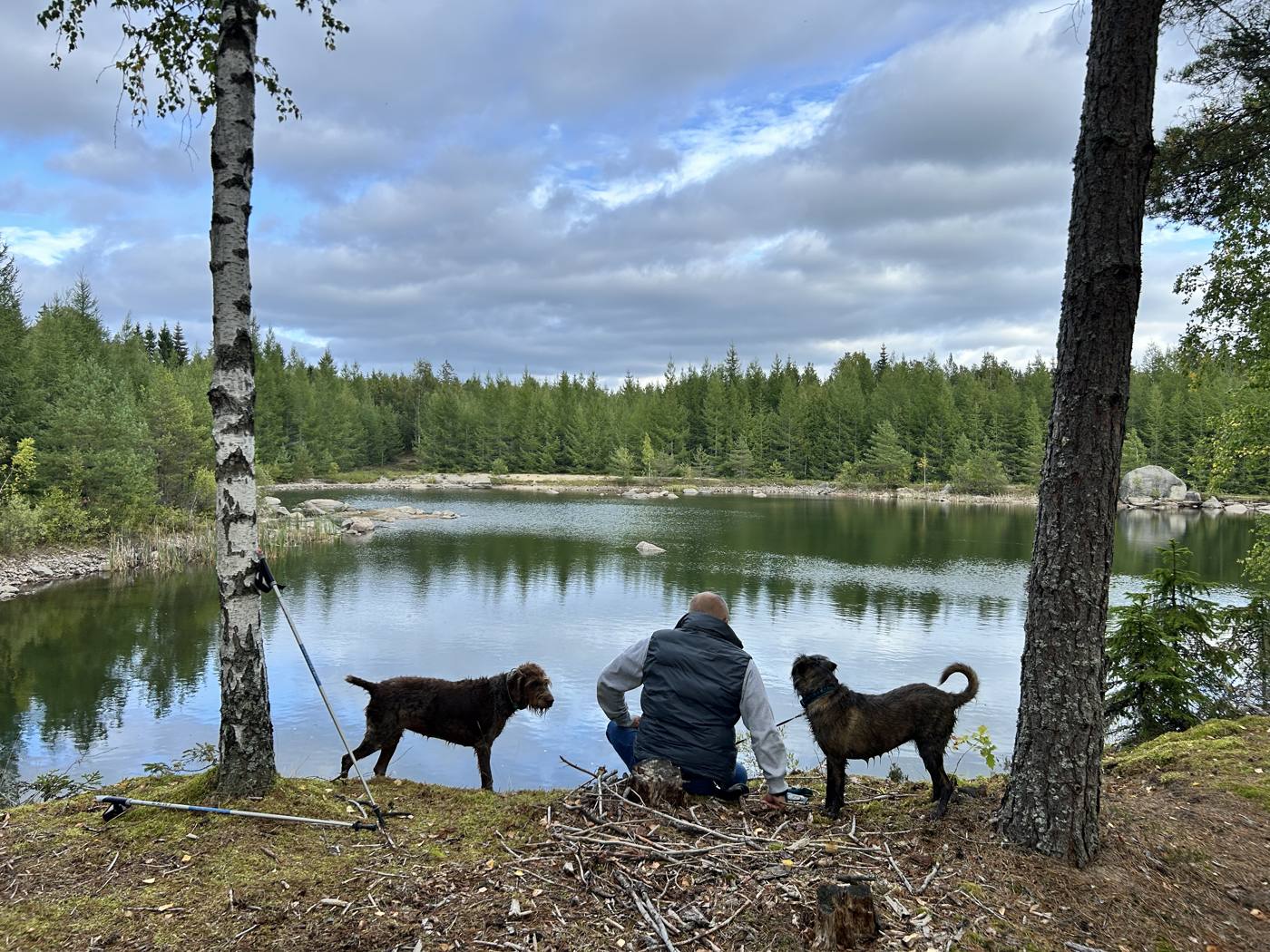 Mit den Hunden am See