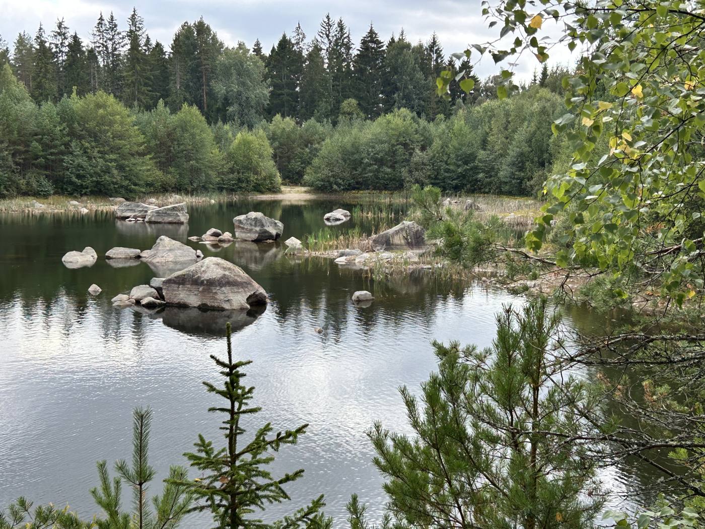 Waldsee mit Felsen und Spiegelungen, umgeben von Nadelwald
